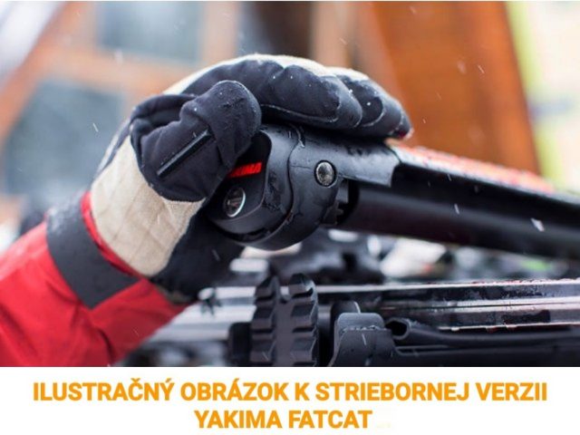nosice lyzi yakima fat cat 6 silver strieborne 8003097 8003086