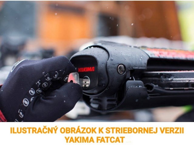 nosice lyzi yakima fat cat 6 silver strieborne 8003097 8003086