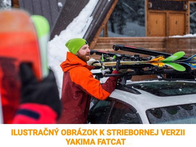 nosice lyzi yakima fat cat 6 silver strieborne 8003097 8003086