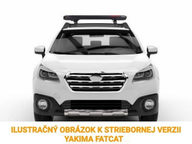 nosice lyzi yakima fat cat 6 silver strieborne 8003097 8003086