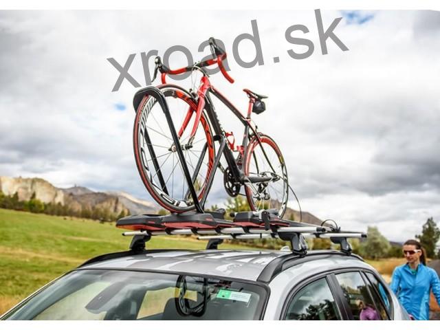 Cyklonosič HighRoad Strieborný 1ks (YAKIMA)