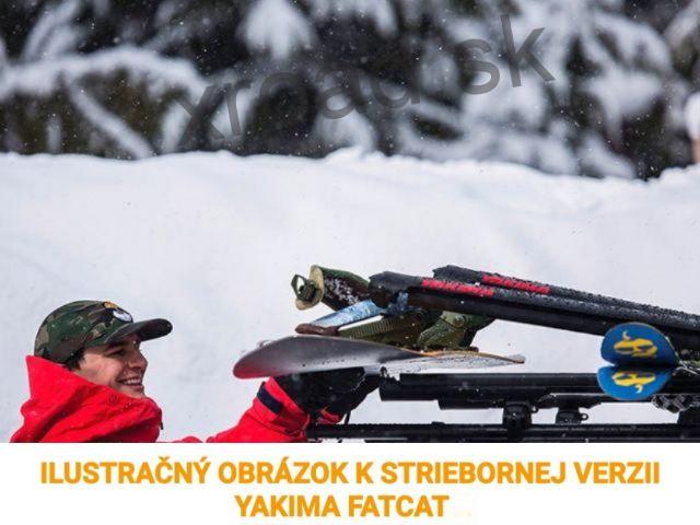 Nosiče lyží FatCat EVO 6 strieborné (SADA) (YAKIMA)