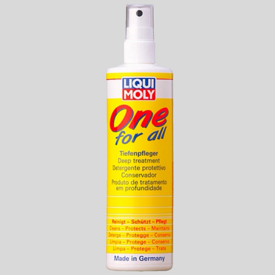 Univerzálny čistič JEDEN NA VŠETKO 250ml (LIQUI MOLY)